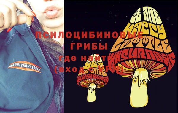 прущие крисы Зеленокумск