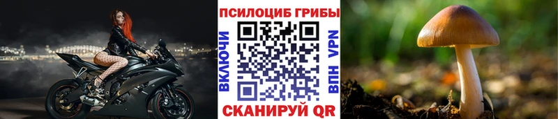 Галлюциногенные грибы мухоморы  наркотики  Назрань 